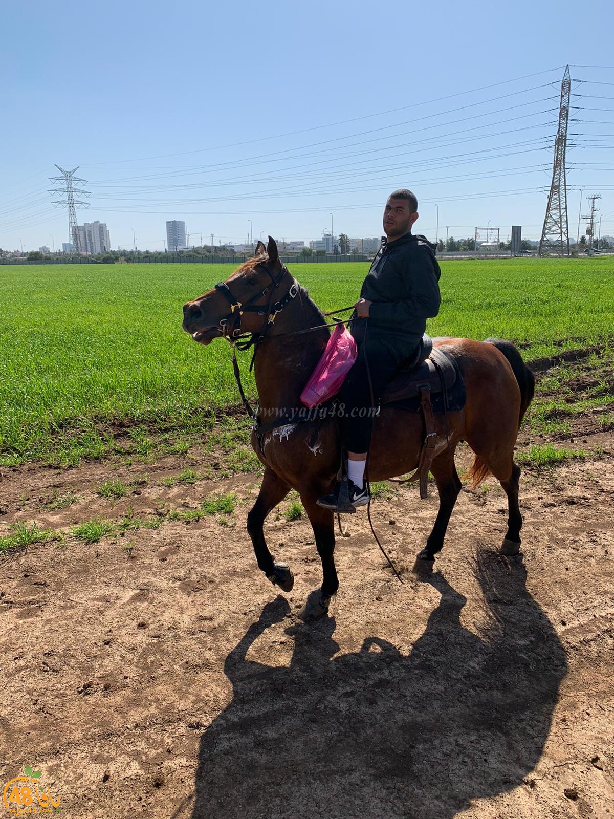 صور: مجموعة من شباب مدينة يافا تستهويهم رياضة الفروسية وركوب الخيل 